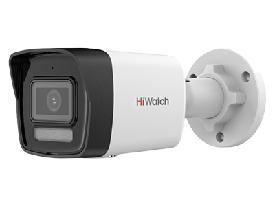 HiWatch DS-I450M(C)